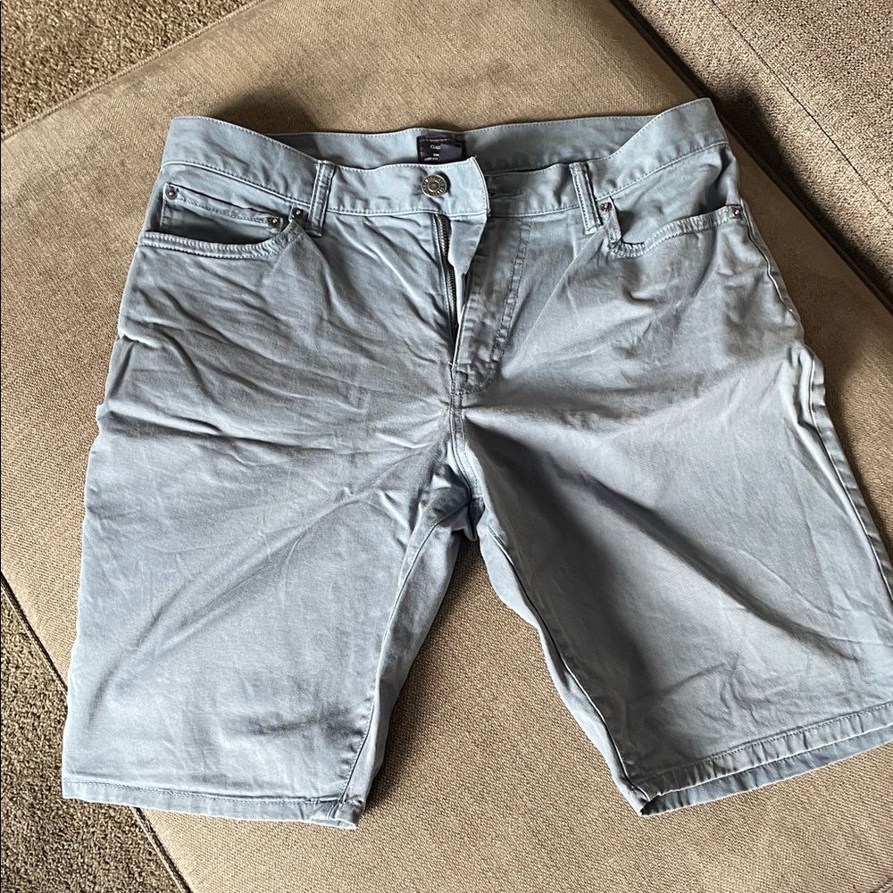 GAP Men's Gray Flat Front Shorts